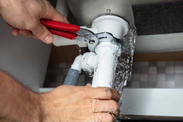 Best Mold removal after water damage  in Satsuma, AL