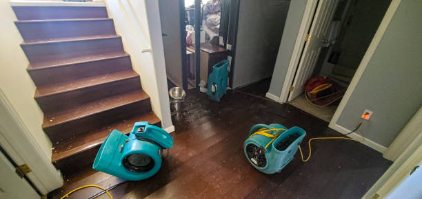 Water damage restoration mold remediation in Satsuma, AL