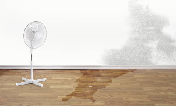Best Water damage restoration near me  in Satsuma, AL