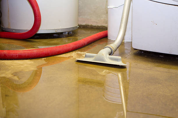 Best Flood damage cleanup  in Satsuma, AL