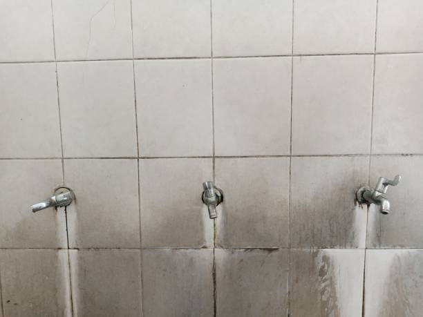 Best Sewage cleanup and water damage restoration  in Satsuma, AL